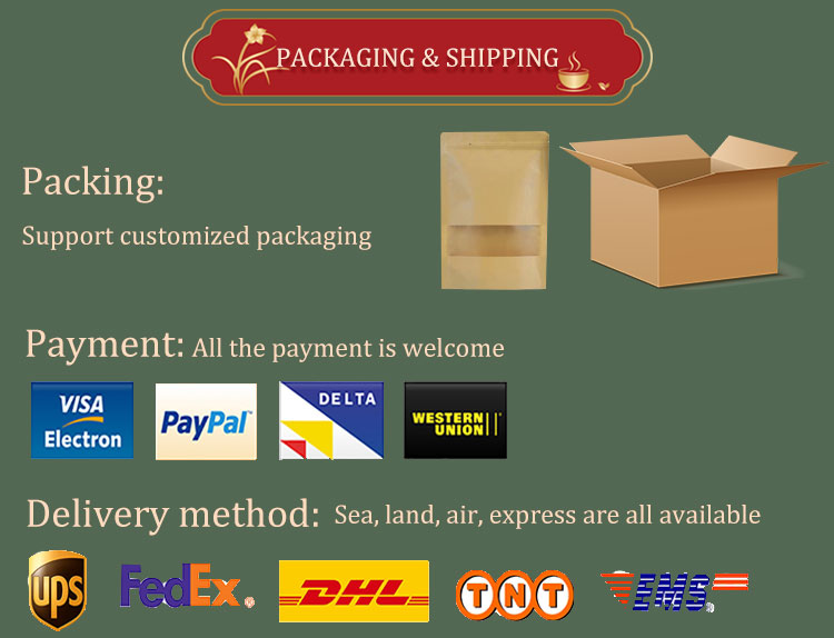 Safe Packaging and Reliable International Shipping Logstics