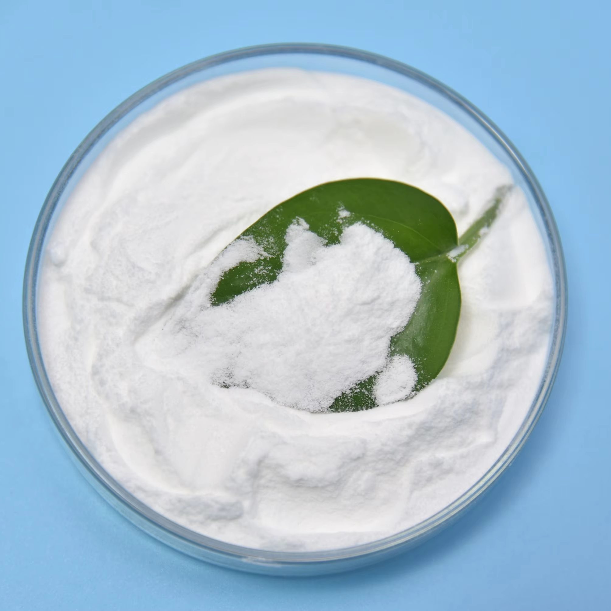 Bacillus Coagulans Food Ingredients From China Freeze-dried Probiotics Powder Original Manufacturer