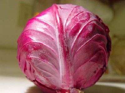 Daily Flavor Use Pure Red Cabbage Pigment Vegetable Pickles Preserved Fruits Chocolate Water-Soluble Sugar Factory Wholesale