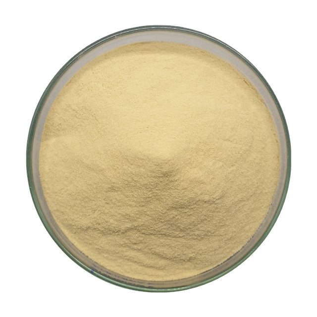 Lacticaseibacillus Rhamnosus Probiotic Powder 100B CFU/g for Dietary Supplements and Functional Foods