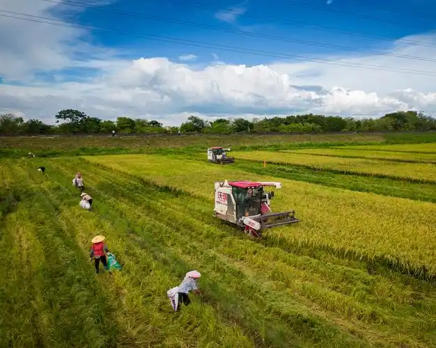 Agricultural Use