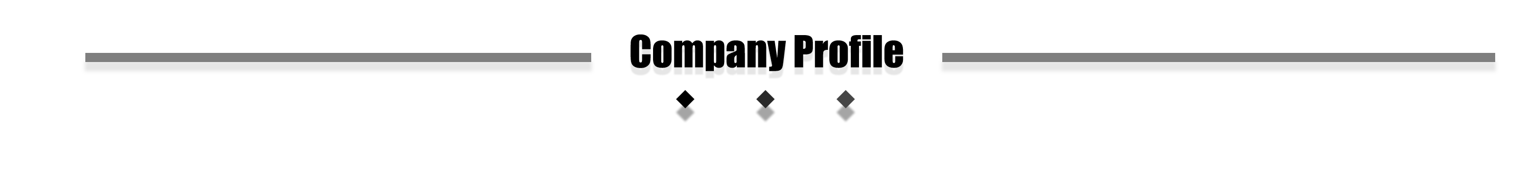 Company Profile