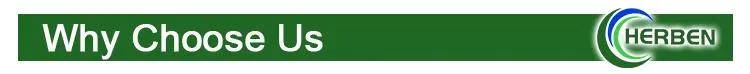Health Products Plant Extract Raw Materials PQQ Pyrroloquinoline Quinone PQQ