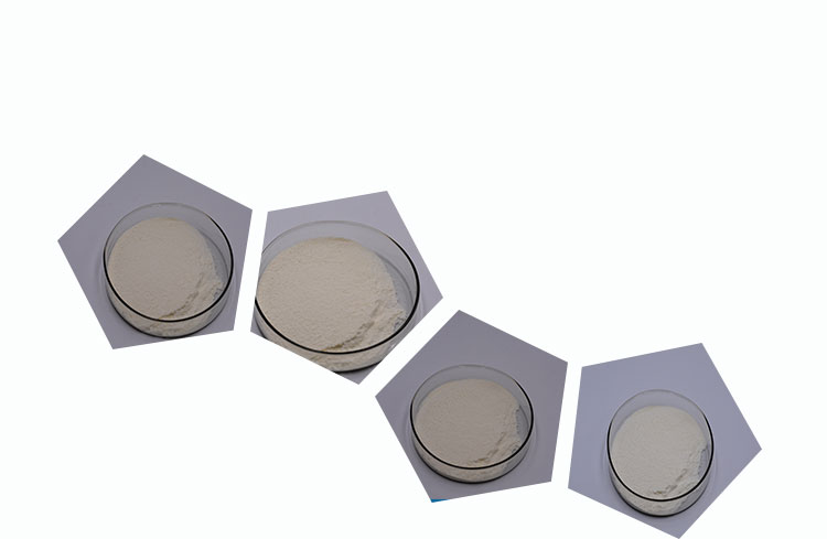 High Quality and Purity 300 Billion Viable Cell Probiotics Powder Bifidobacterium Bifidum