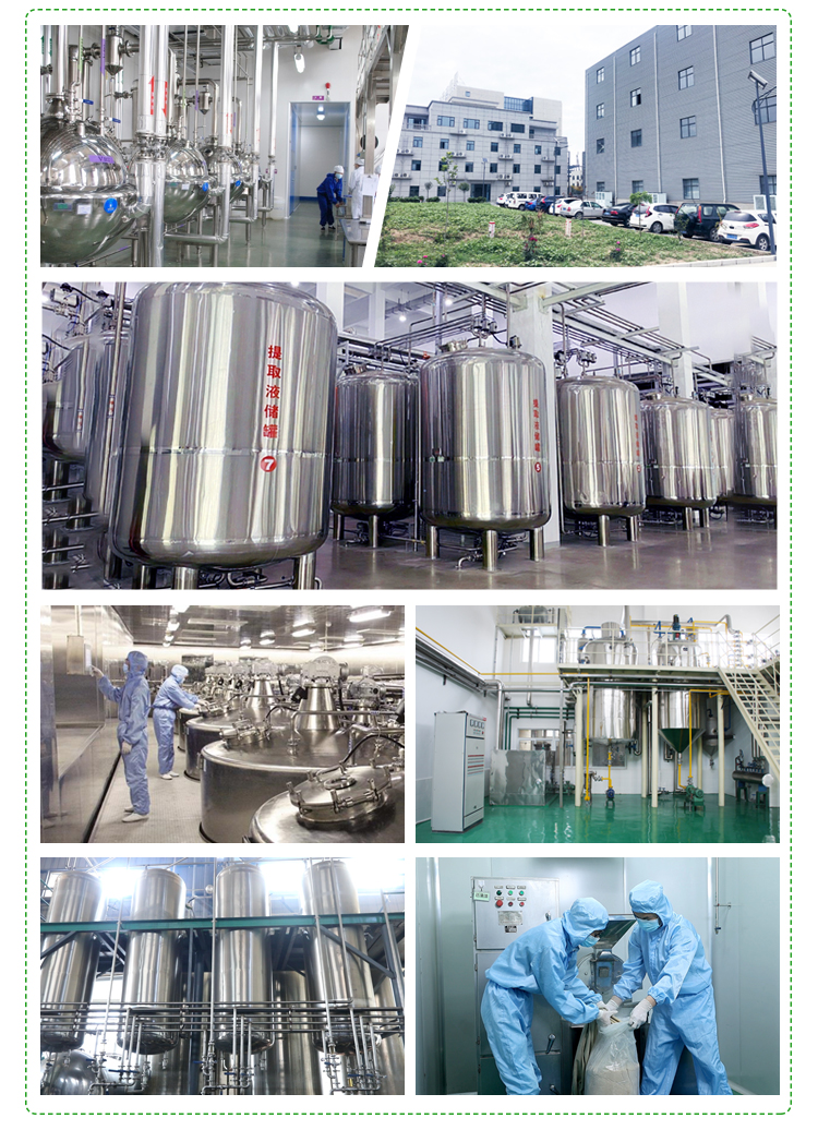 Factory Production Standards