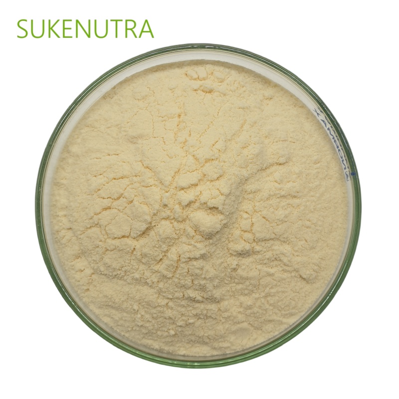 Lacticaseibacillus Rhamnosus Probiotic Powder 100B CFU/g for Dietary Supplements and Functional Foods
