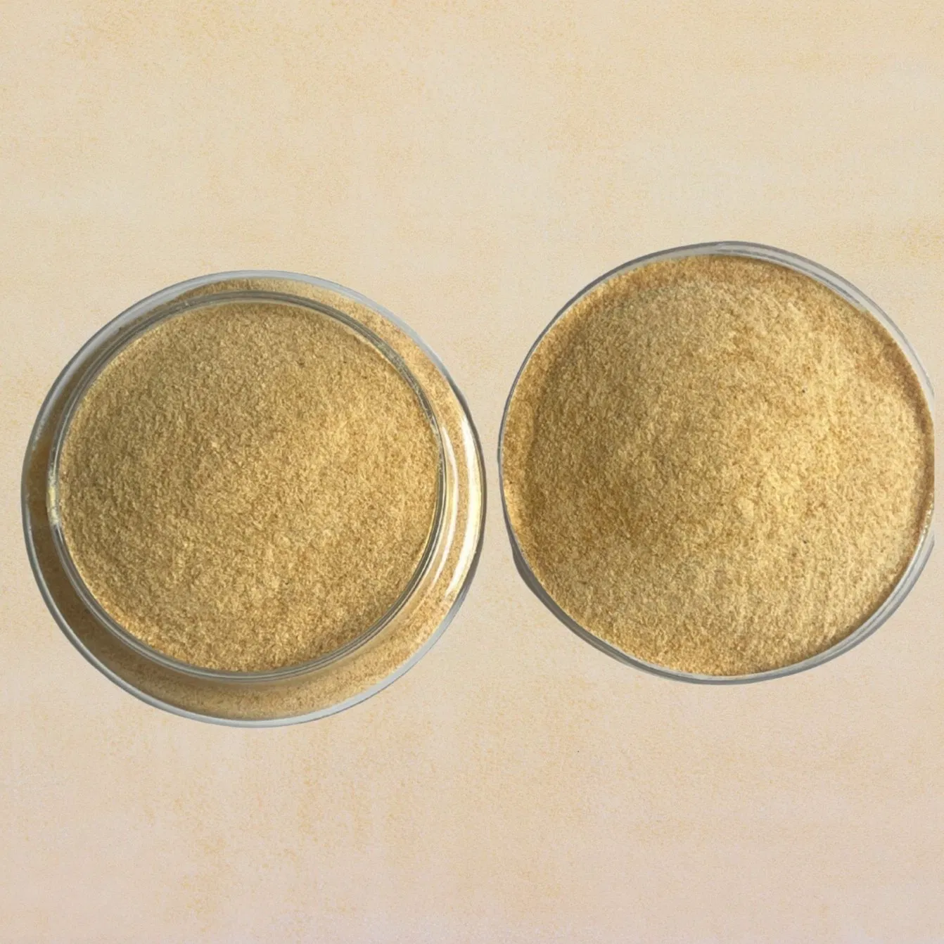 Silver Ear Polysaccharide Protein Raw Material, Food Grade Thickener, Natural Plant Protein Extract