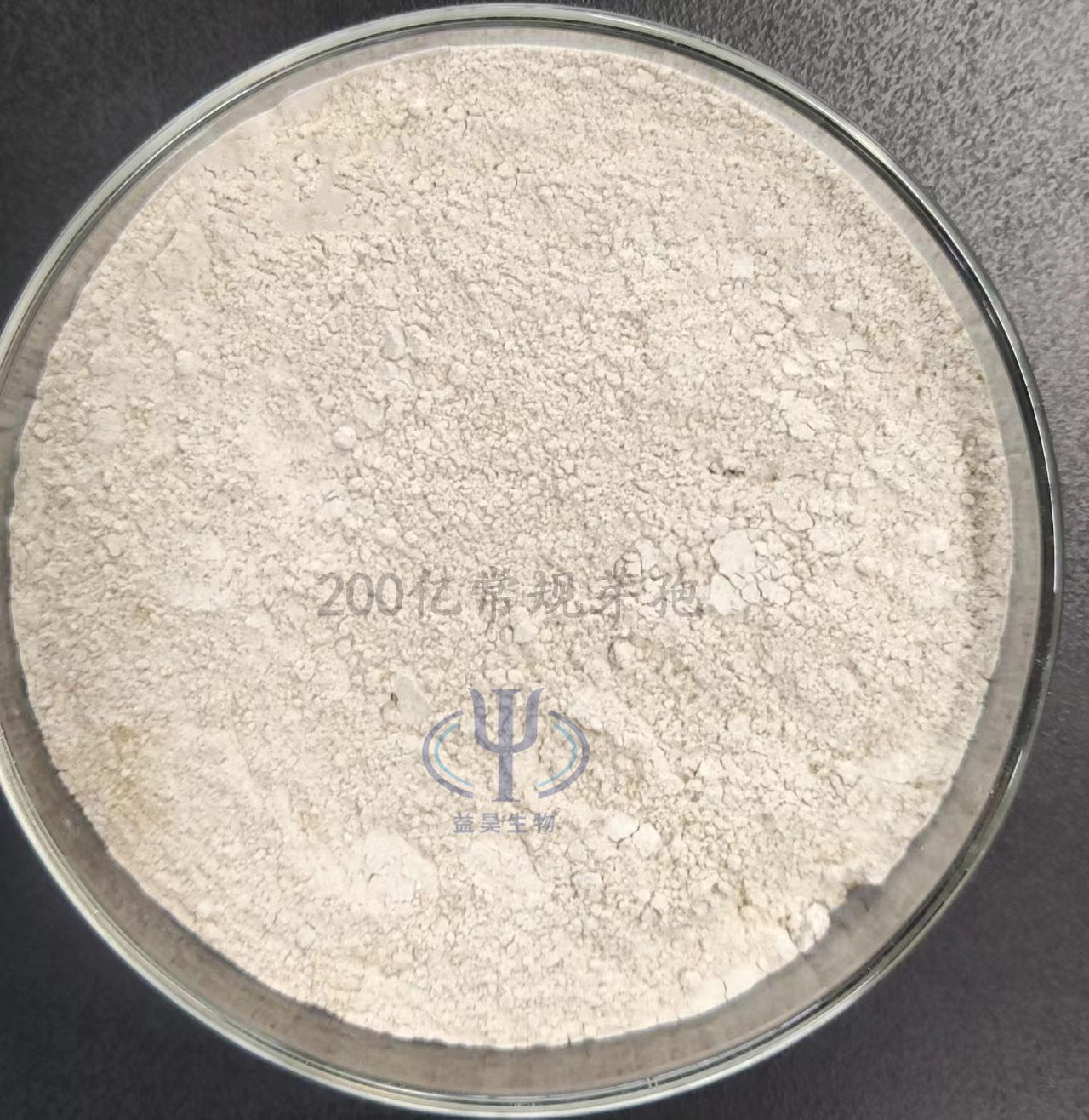 Hot Sale 10 Billion Bacillus Subtilis Probiotics For Fish Farming Control Harmful Bacteria