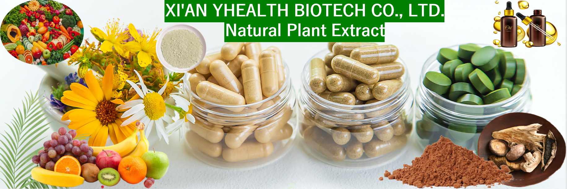 Cocoa Polyphenols Powder Banner