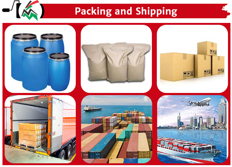 Packing and Shipping Display
