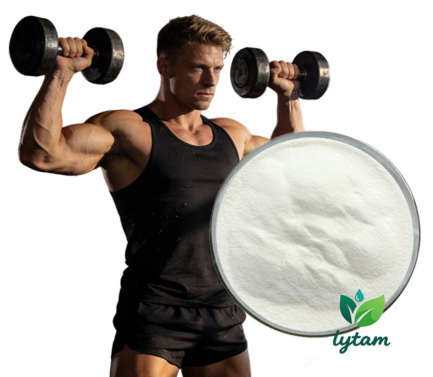 Wholesale High Quality 99% Purity Cosmetic Grade Lytam-Slu-pp-332 Powder Antioxidant Herbal Supplements CAS 303760-60-3