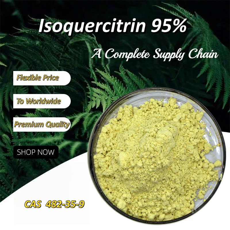 Isoquercitrin 95% CAS 482-35-9 Pure Natural Plant Extract Raw Material Isoquercitrin