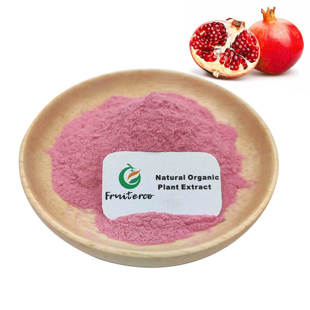 Pomegranate Juice Powder Detail