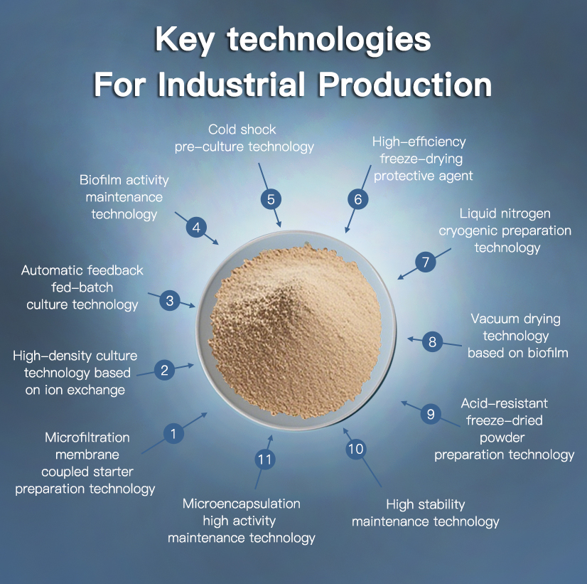 High Activity Bacillus Licheniformis Powder 50 Billion CFU/g Heat Resistant Probiotic For Feed Additive &amp; Soil Conditioner