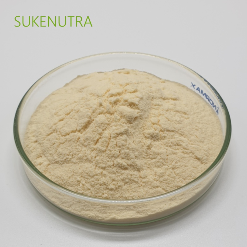 Lacticaseibacillus Rhamnosus Probiotic Powder 100B CFU/g for Dietary Supplements and Functional Foods