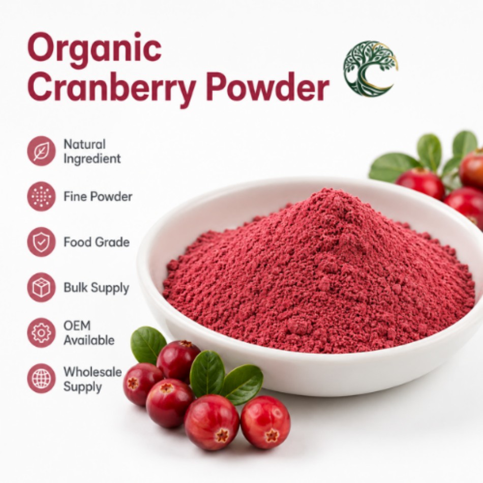 Premium Organic Cranberry Fruit Juice Powder Bulk Water Soluble Food Grade Beverage Ingredients Wholesale
