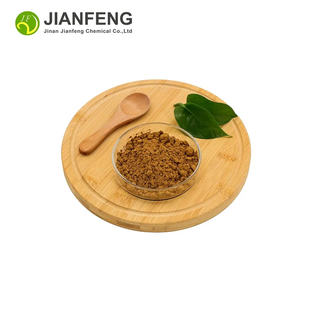 Rose HIPS Extract Plant Extract Raw Material High Quality Factory Supply