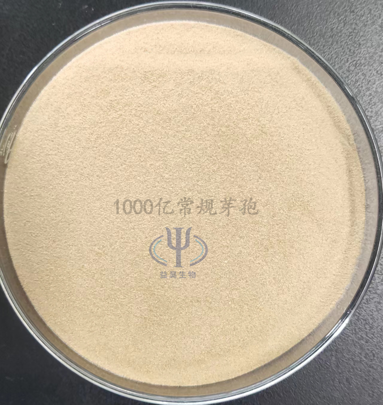 Hot Sale 10 Billion Bacillus Subtilis Probiotics For Fish Farming Control Harmful Bacteria