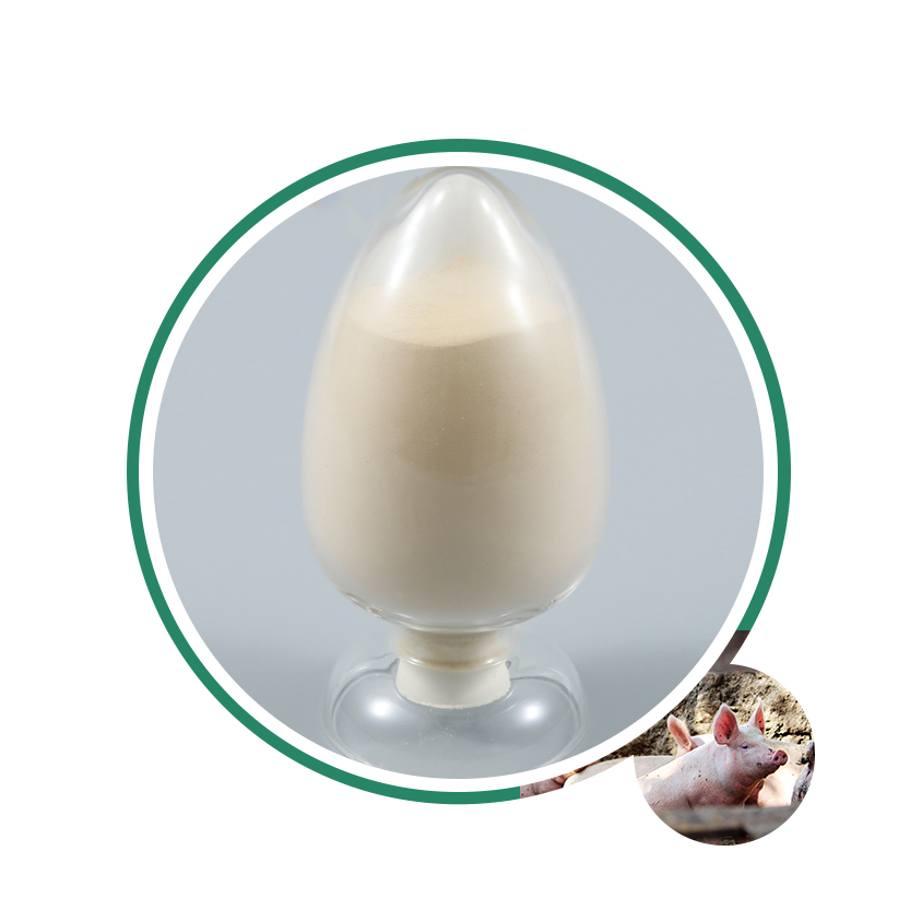 Factory Stock Feed Grade l Tryptophan Amino Acids Tryptophan Powder