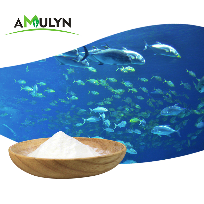 AMULYN High Quality Flavorless Odorless Fish Collagen (90% Protein) Powder Nutrition Enhancers Bulk Wholesale Food Additives