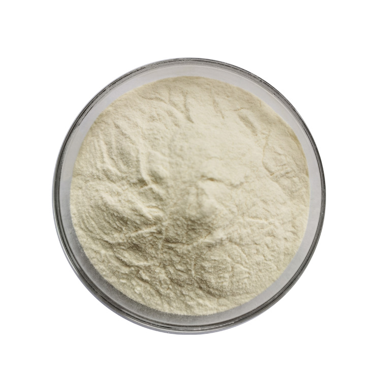 Selenium Enriched Yeast Powder Package