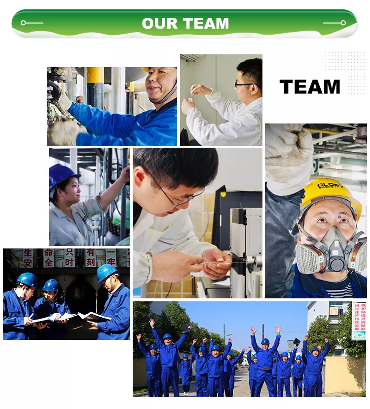Company Profile 2