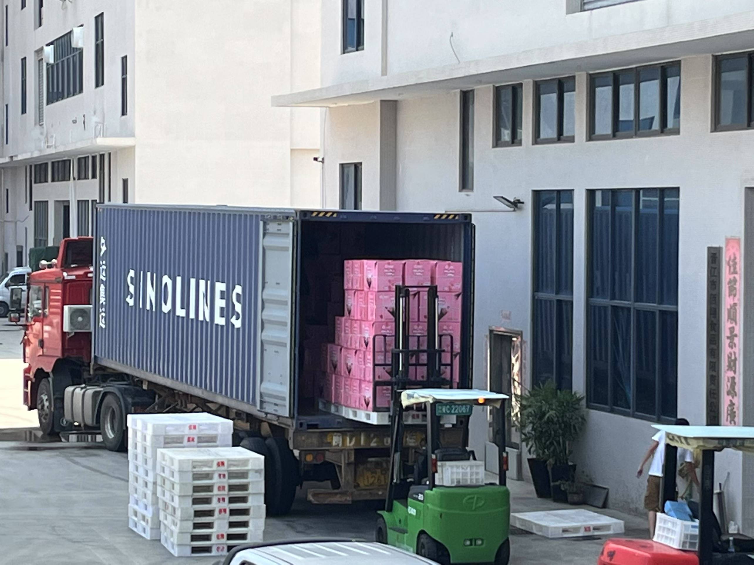 Export Logistics