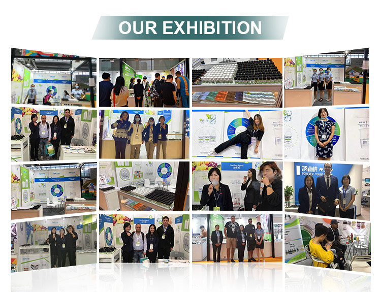 Exhibition Booth