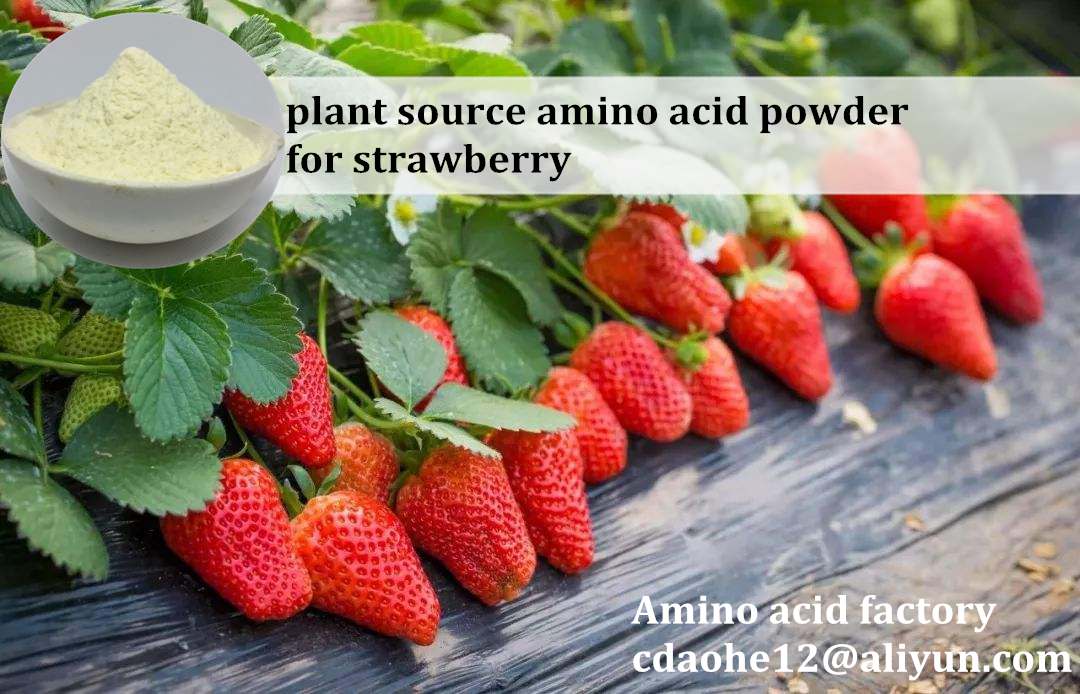 Amino 80 Organic Light Yellow Powder Hydrolysate Enzymatic Amino Acids Completely Water Soluble