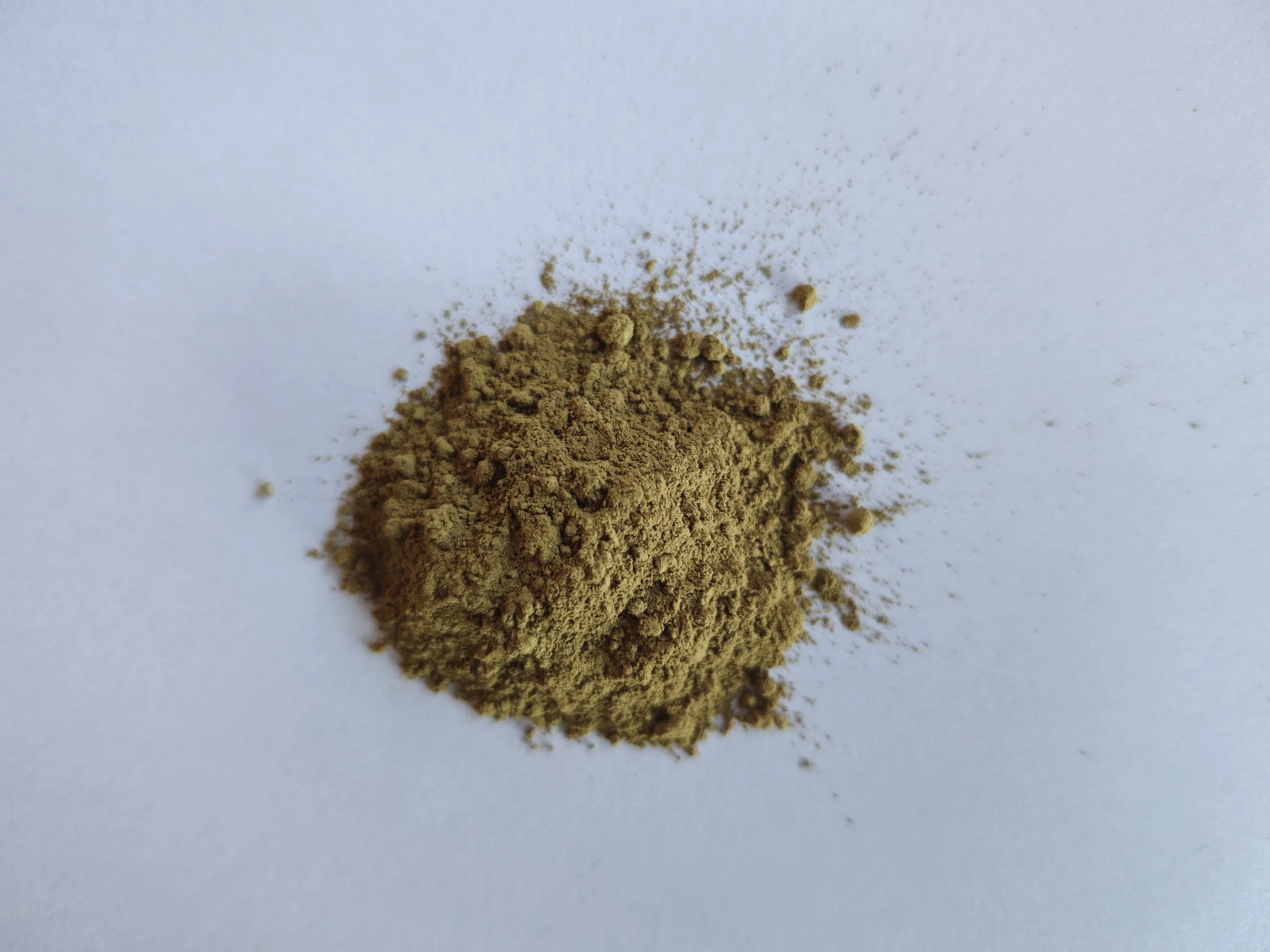 Kaempferol 25% Plant Extract Powder CAS 520-18-3 Antioxidant Raw Material