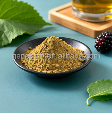 Herbal Mulberry Leaf Extract Powder for Nutraceutical Applications