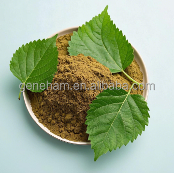 Herbal Mulberry Leaf Extract Powder for Nutraceutical Applications