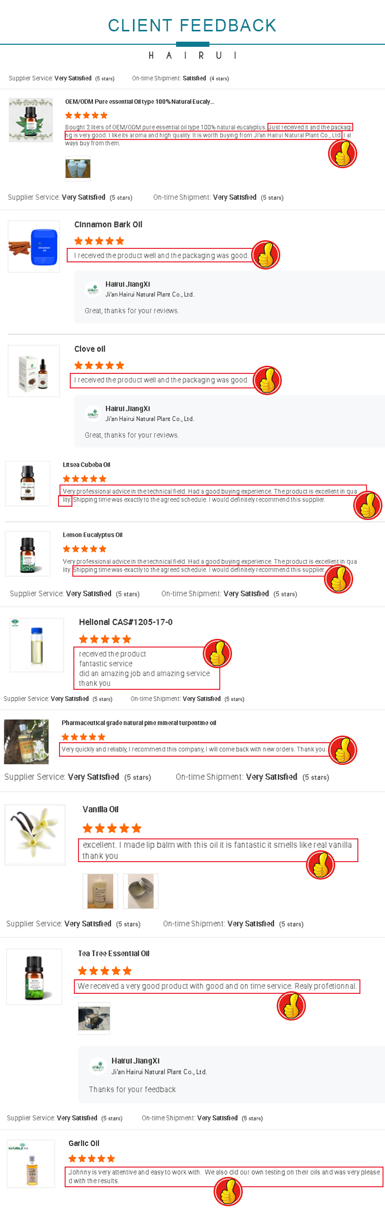 Customer Reviews and Feedback