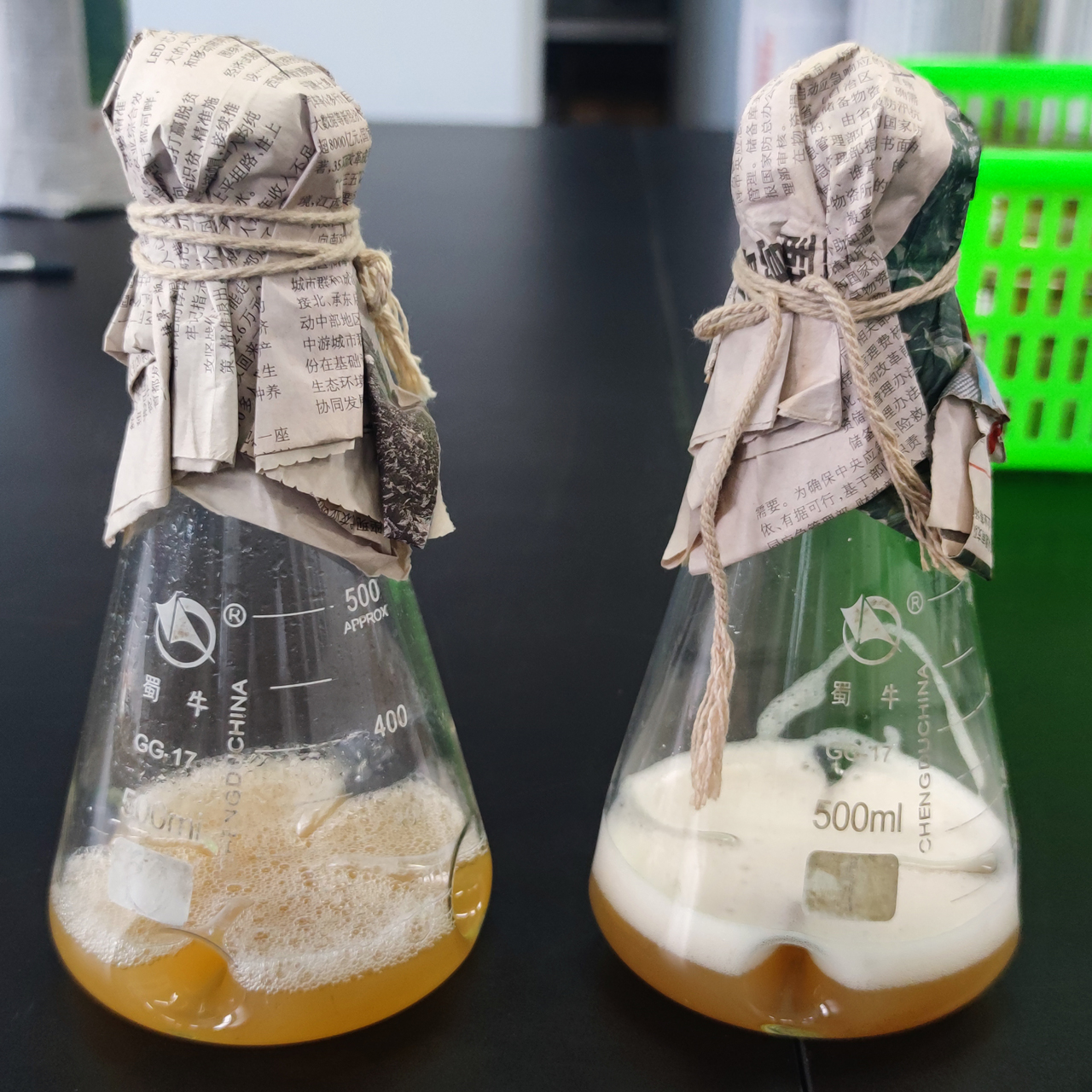 China Manufacturer Supply Bacillus Laterosporus Probiotics Brown Powder For Aquaculture Shrimp With 24 Months Shelf Life