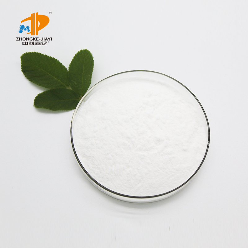 Lactobacillus Salivarius Food Ingredients From China Freeze-dried Probiotics Powder Original Manufacturer
