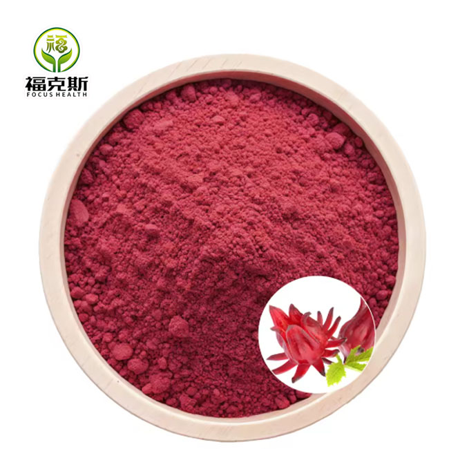 High Quality Natural Hibiscus Red Colorant Liquid Flavor Powder for Cold Drinks Jelly Jam Syrup Aroma Packaged in Drum