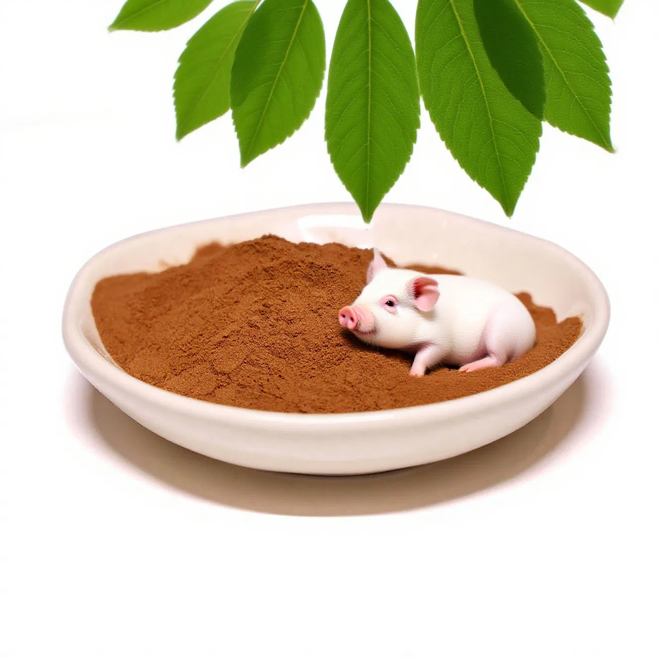 Eucommia Ulmoides Extract Chlorogenic Acid Eucommia Ulmoides Flavonoids Plant Extract Natural Health Raw Material