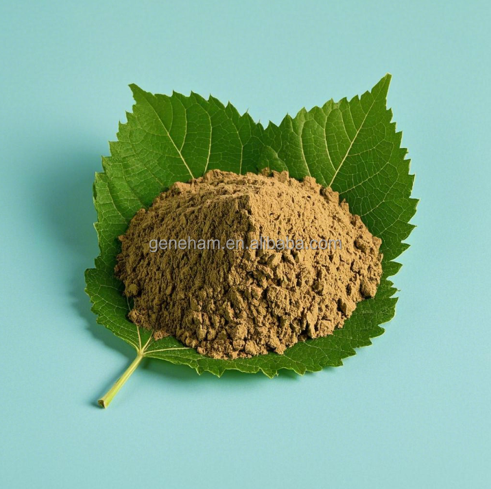 Herbal Mulberry Leaf Extract Powder for Nutraceutical Applications