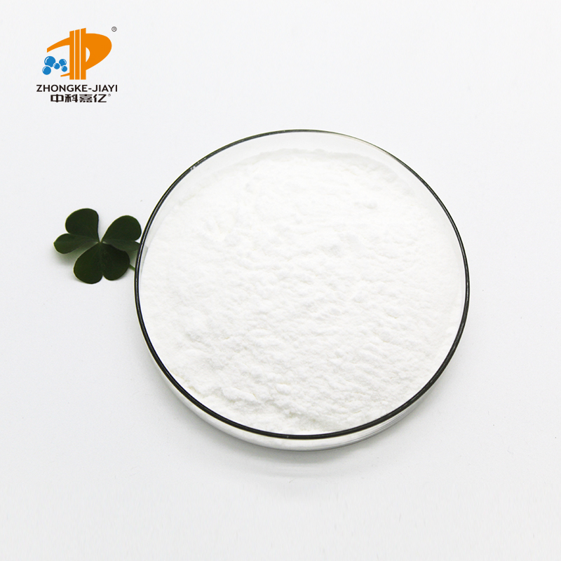 Lactobacillus Salivarius Food Ingredients From China Freeze-dried Probiotics Powder Original Manufacturer