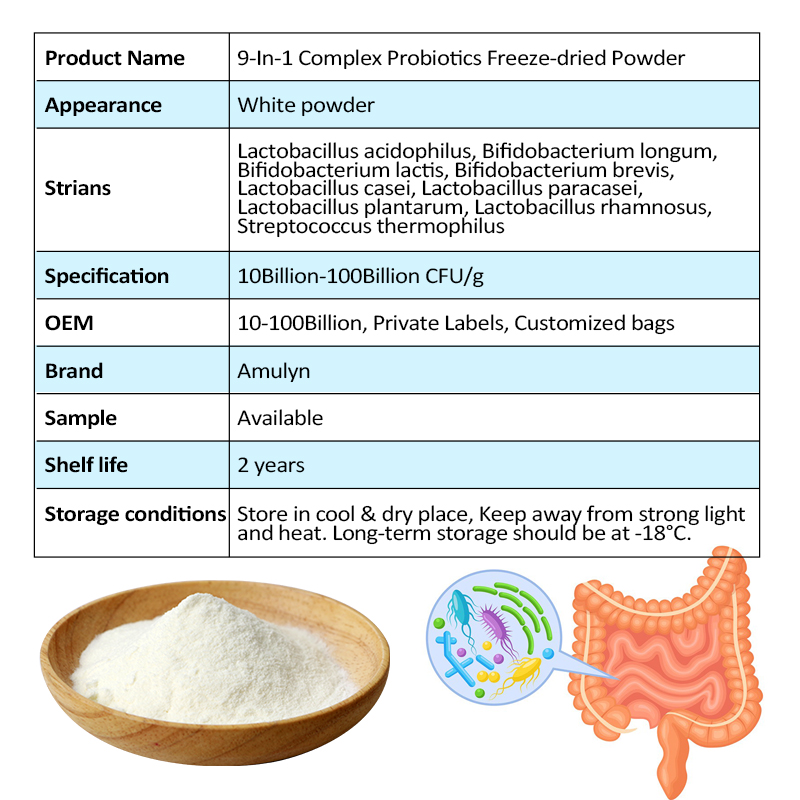 Probiotics Powder Compound Probiotic Powder Manufacturer