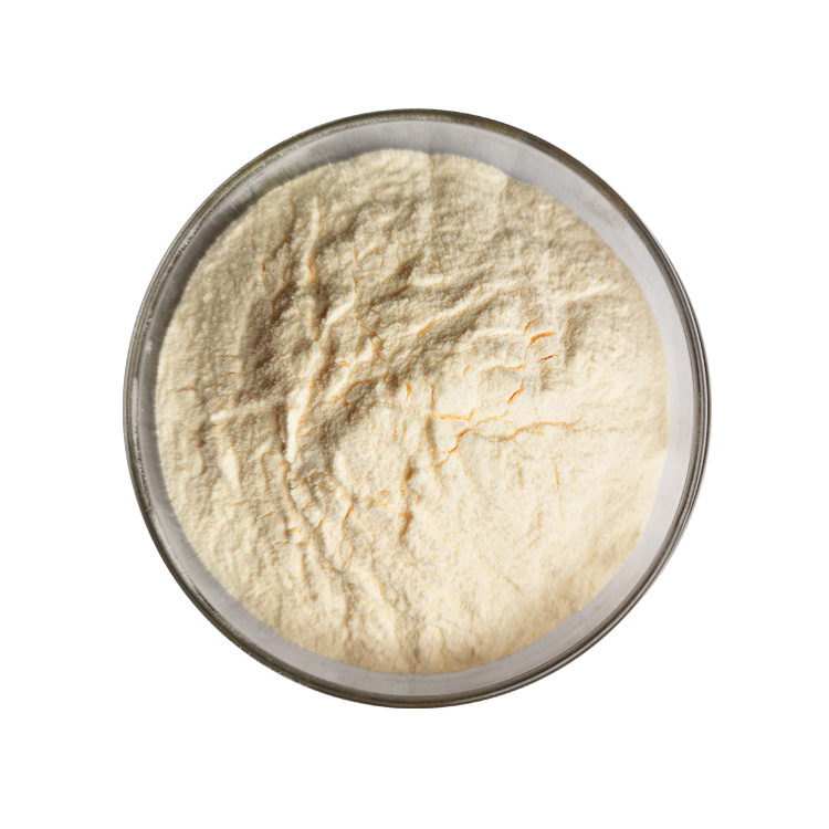 Food Additive Supplement Selenium Enriched Yeast Extract Powder 2000PPM Selenium Enriched Yeast