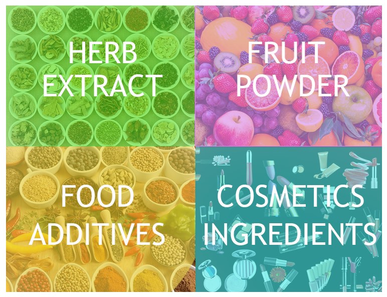 High Quality and Purity 300 Billion Viable Cell Probiotics Powder Bifidobacterium Bifidum
