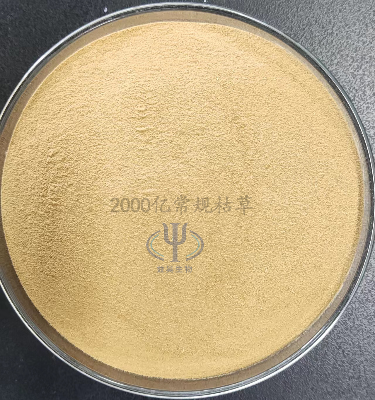 Wholesale Effective Microorganisms EM 100 Billion Bacillus Subtilis Probiotics For Intestinal Regulation