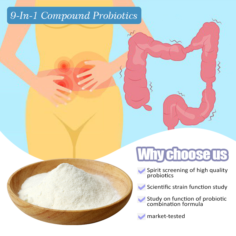Probiotics Powder Compound Probiotic Powder Manufacturer