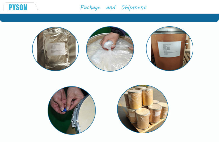High Quality and Purity 300 Billion Viable Cell Probiotics Powder Bifidobacterium Bifidum