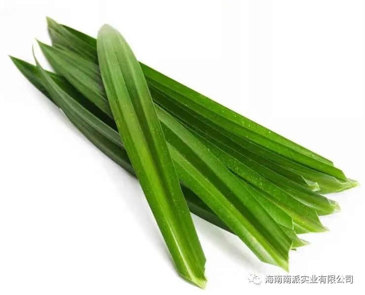 Spray-Dried Pandan Powder From Hainan - Natural Flavor &amp; Green Colorant, DBS46/004 Certified, Instant Soluble