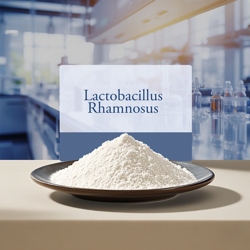 Lactobacillus Rhamnosus 10 Billion CFU/g Probiotic Powder For Fermentation In Dairy Products, Functional Foods, Health Beverages