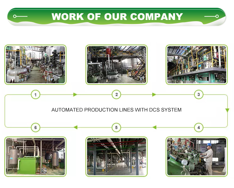 Company Profile 3