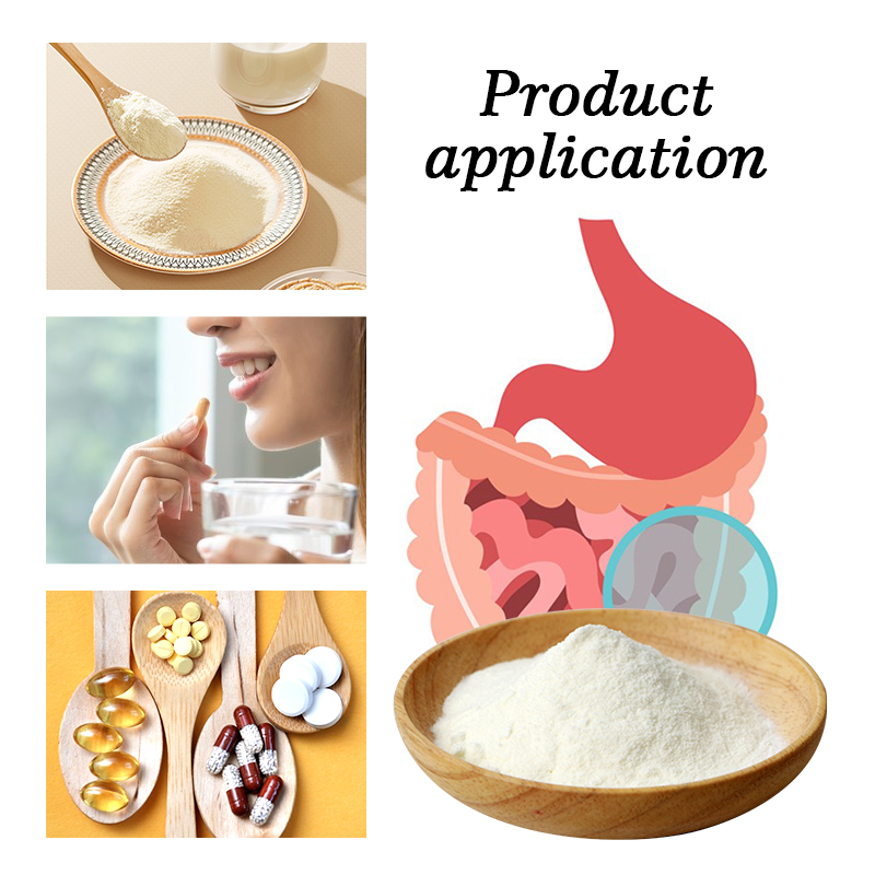 Probiotics Powder Compound Probiotic Powder Manufacturer