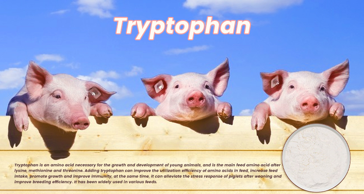 L-Tryptophan product presentation